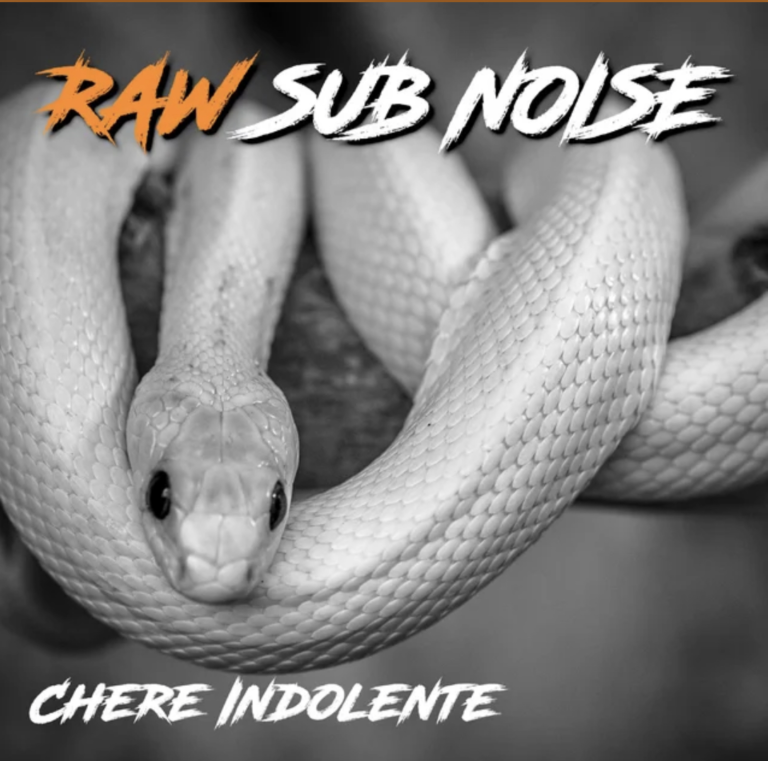 Nouveau single, Nouveau single  &#8220;Chère indolente&#8221; de  Raw Sub Noise à découvrir dès maintenant sur les plateformes de streaming !, Beathoven