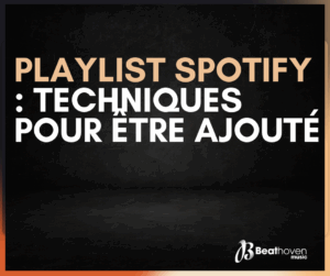 Playlist Spotify