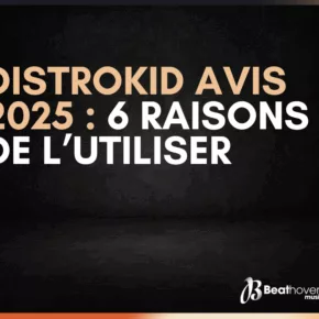 Distrokid avis