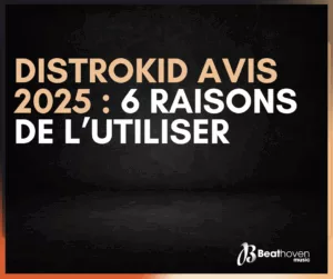 Distrokid avis