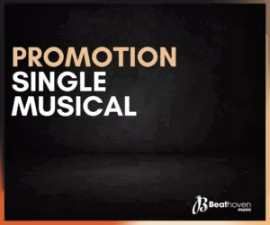 Promotion single