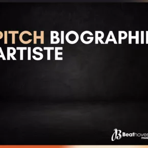 pitch bio artiste