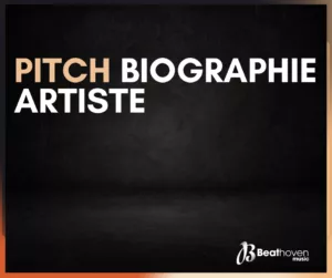 pitch bio artiste