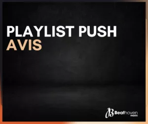 playlist push avis