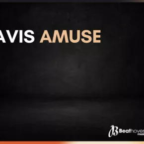 Avis Amuse