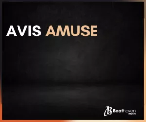 Avis Amuse