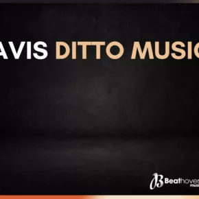 Avis Ditto Music