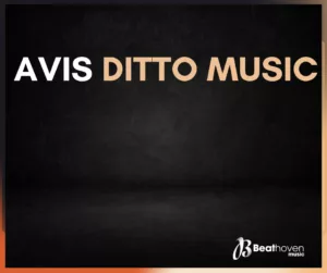 Avis Ditto Music