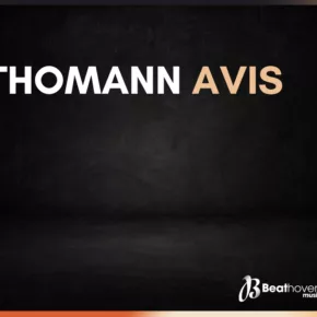 Thomann avis