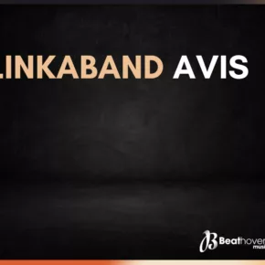 Linkaband avis