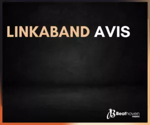 Linkaband avis