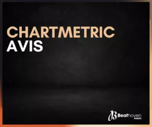 chartmetric avis