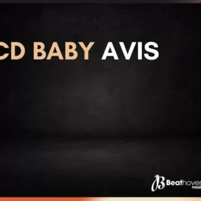 CD Baby Avis